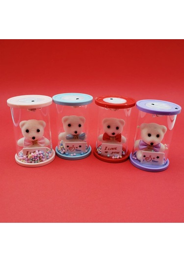 Işıklı Cam Fanus İçinde Ayıcık Çok Renkli