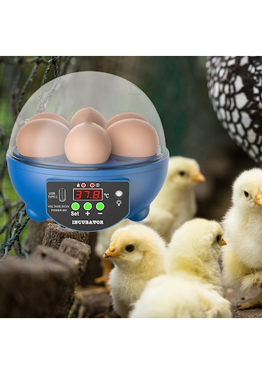 Suntek Yumurta Kuluçka Makineleri Otomatik Civciv Kuluçka