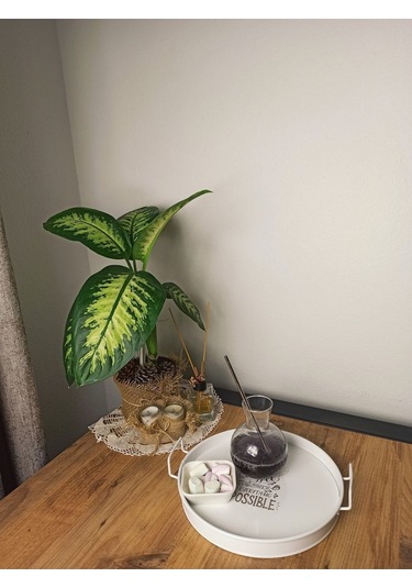 Reoona Metal Sunum Tepsi.çay Kahve Pasta Tatlı Servis 27 Cm Beyaz Metal