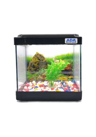 Ada Akvaryum Mini Akvaryum Seti Siyah 20 x 20 x 15 CM