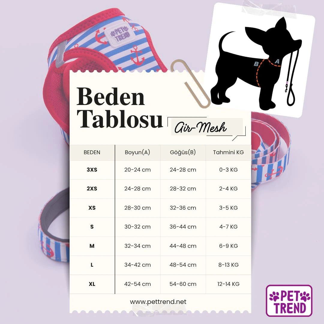 Teddy Club Göğüs Tasması Ve Sevk Kayışı Tasma Seti Ayıcıklı Kedi Köpek Göğüs Tasması Seti Pembe