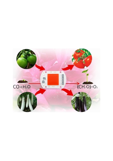 Cob Çip Led Büyümek Işık Phyto Lamba Ac 220v/110v 20w 30w 50w Tam Spektrum Büyüme İçin Sürücüye Gerek Yok Çiçek Fidesi Bitki Yetiştirme Diğer