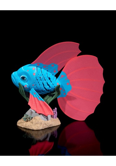 Hareketli Beta Balığı 18x17cm