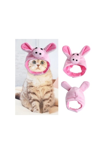 Raikou Domuz Kedi Kostümü