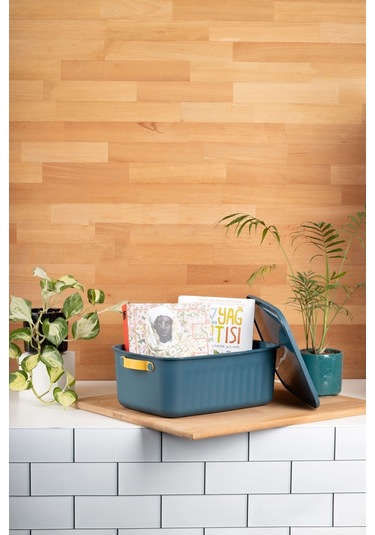 Finehome Boxy Çok Amaçlı Kutu Mavi 10 L