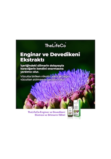The Lifeco Enginar & Devedikeni Sıvı Ekstraktı 150 ML