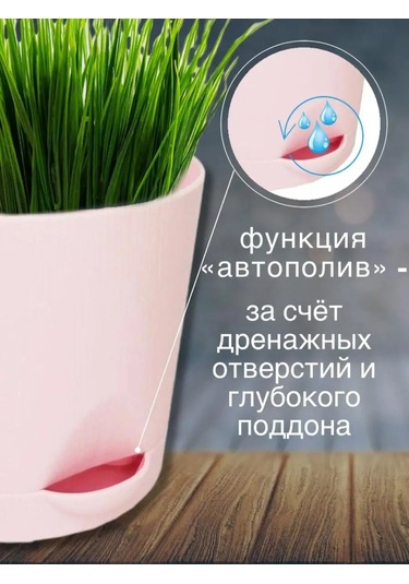 Interm Meyan Çiçeği Saksısı Küçük Plastik Saksı Seti 104978040