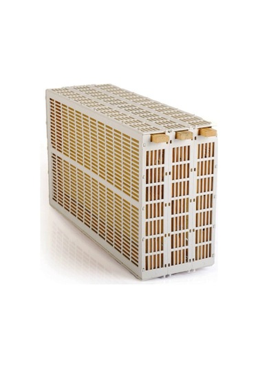 Ana Arı Hapsetme 3 Çerçeveli