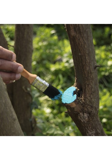 Gmt Pro-Lux 2 Adet Sıvı Aşı Macunu 250 Gr