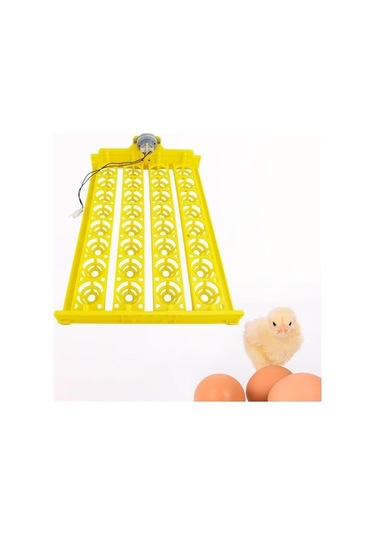 Pazly Yumurta Yumurta Turner Tavuk Suntek Otomatik Makinesi Kuluçka Fr