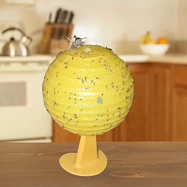 Trendooze Parlayan 6lı Sinek Tuzakları İç/dış Kullanım İçin Sunshine022 Yapışkan Sinek Tuzakları