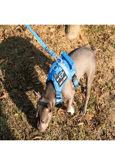 Interlaken G230 Ayarlanabilir Uzunluk Siyah Köpek Tasma M Siyah