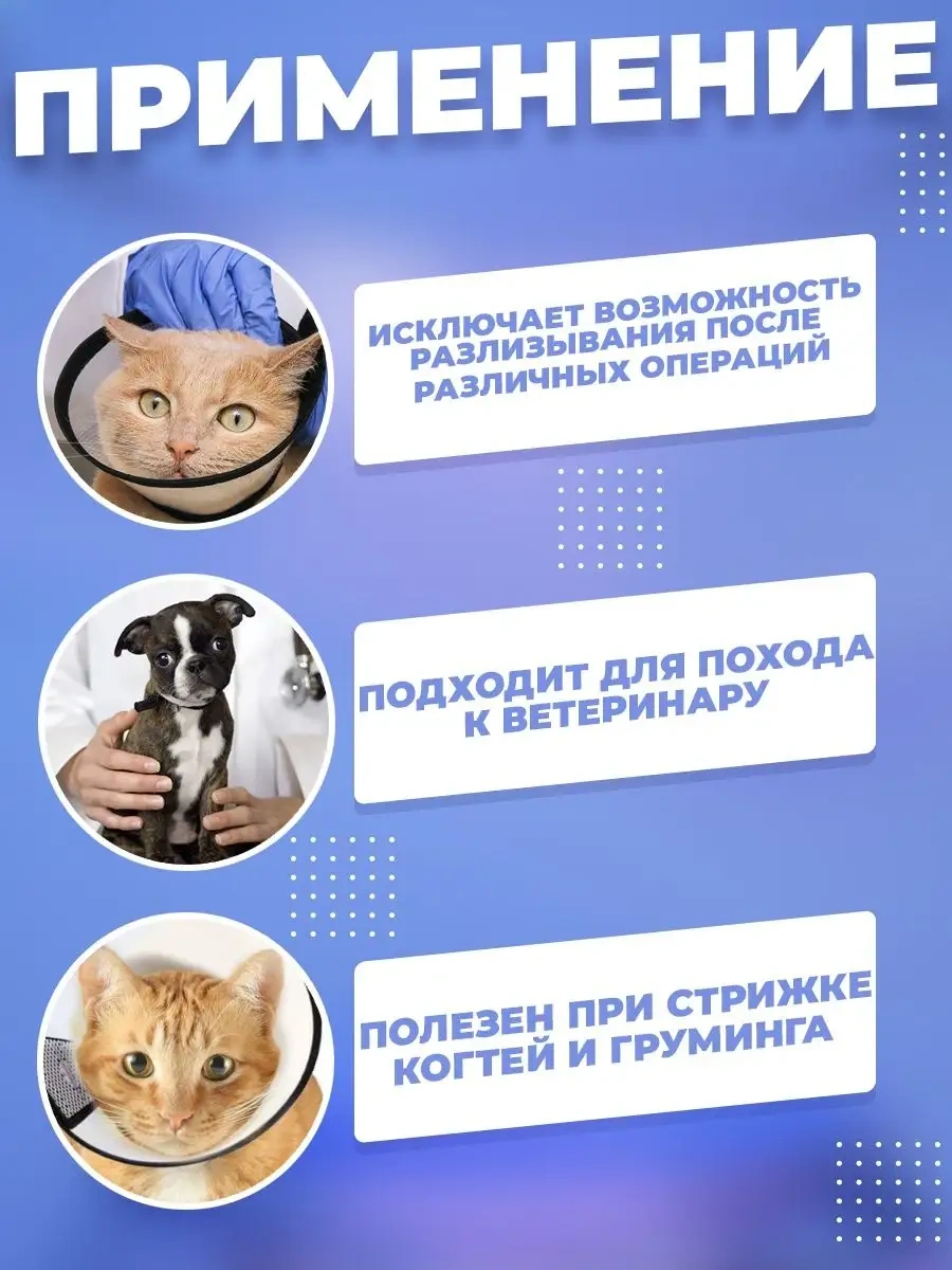 Wikivet Cırt Cırtlı Köpek Ve Kedi Yaka 113370059