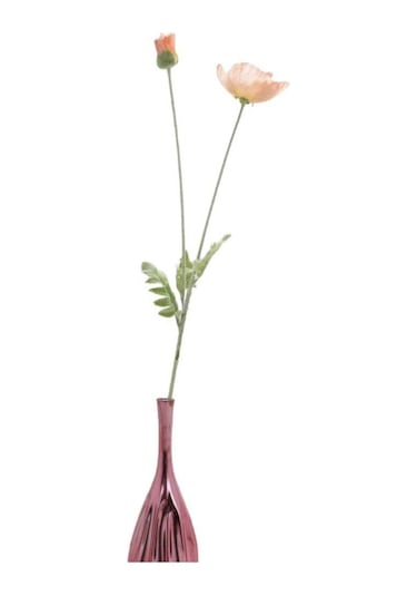 T.concept Büyük Pembe Gelincik Hanghuı-009