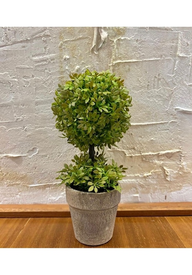 Minimalist Çift Katlı Yeşim Topiary Aranjmanı 24 Cm X 10 Cm Yeşil