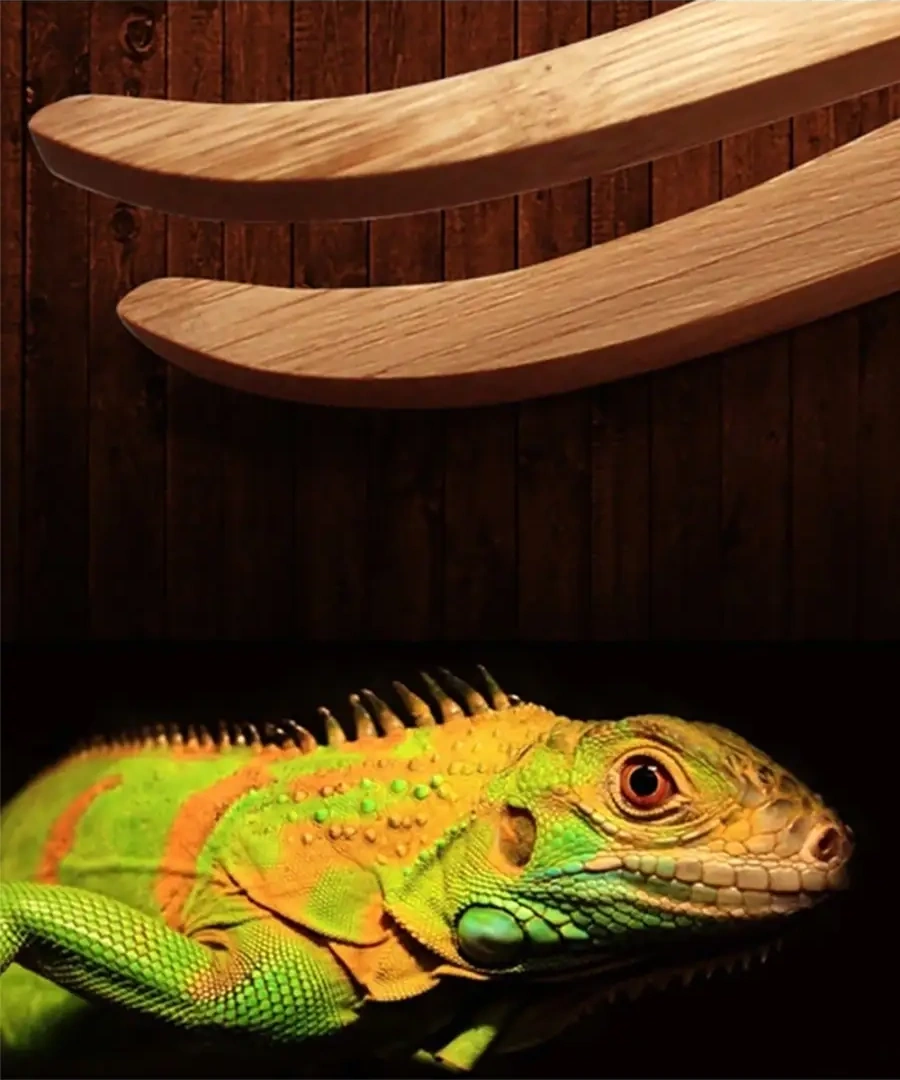 Petsroom Akvaryum Ve Teraryum İçin Sürüngen Besleme Penseti 51448436