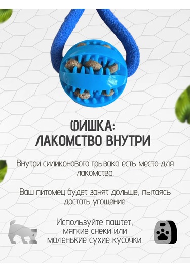 Köpekler İçin Toplu İp 269073602