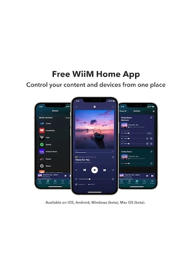 Wiim Mini Airplay2 Kablosuz Ses Aktarıcı