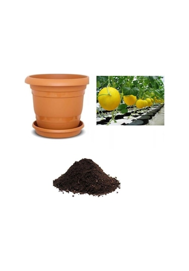 Ithal Minik Saksı Kavunu Tohumu Ekim Seti