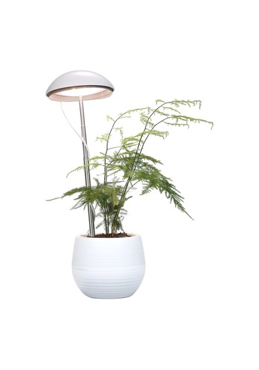 Reedark Led Saksı Bitki Büyüyen Lamba Tam Spektrum Beyaz