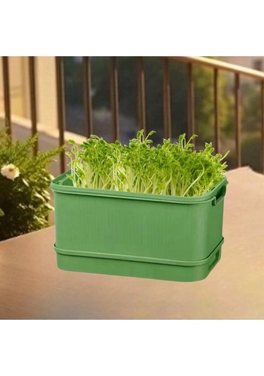 Pazly Tohum Tepesi Suntek Mutfak Maş İçin Filiz Fasulyesi Geniş Fi