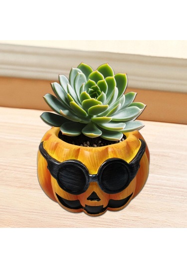 Suntek Kabak Saksı Hediye Dekorasyon Süsler Ev Mutfak Stil-b