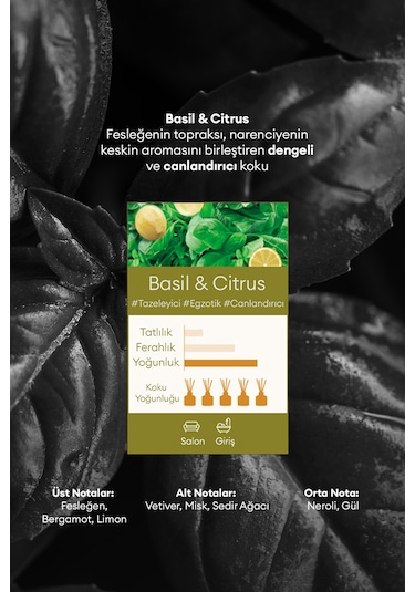 Kundal Basil & Citrus Gold Edition Perfume Diffuser 2 x 200 ML