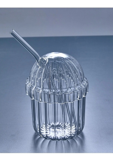 Devigo 2 Adet Kapaklı Pipetli Pinterest Bardak Soğuk Kahve Ve Sunum Bardağı 430 ML