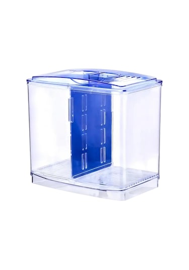 Suntek Masaüstü Ev Yatak Odası Için Küçük Beta Balık