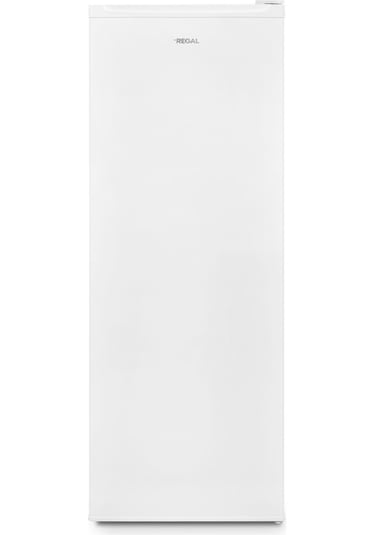 Regal CD 50001 Dikey Derin Dondurucu