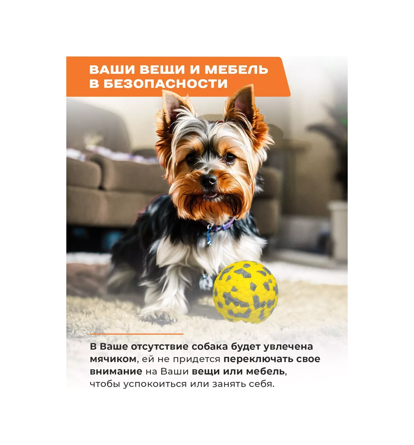 Purrfect Place Köpekler İçin Oyuncak, Süper Dayanımlı Top 201068333