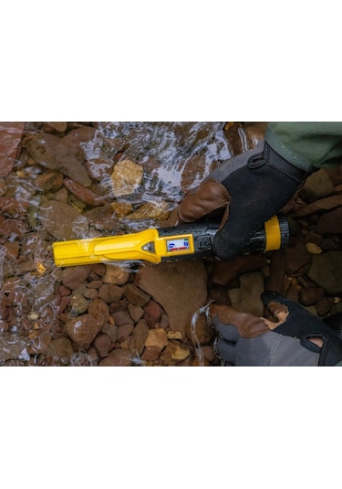 Nokta Accupoint / Ayrımlı Pointer Dedektörü