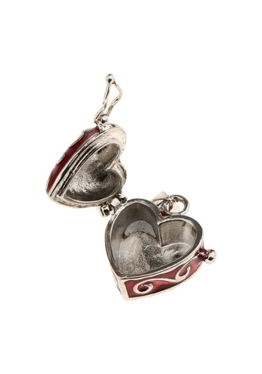 Soulader Kremasyon Kolye Hatıra Aksesuarı - İt Kolye Küçük Küllük - Kırmızı Renk Kırmızı