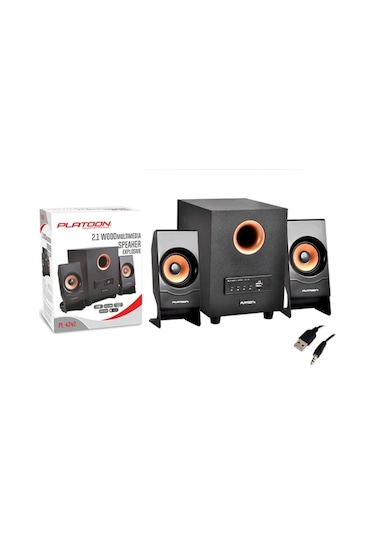 Platoon Pl-4242 Usb/Sd/Fm Speaker