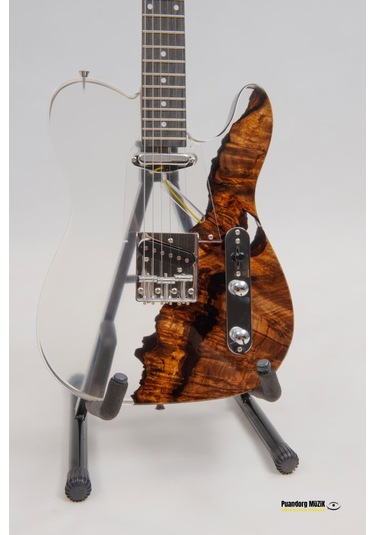Elektro Gitar Custom Epoksi & Yıllanmış Ağaç Kişiye Özel Beyaz - Siyah