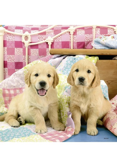 Ravensburger 3x49 Parça Puzzle Puppies 080656