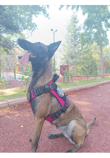 Tactical Göğüs Tasması Taktik Tasma Pembe