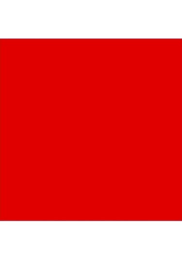 Pamukkale Rapid Boya 2.5 Kg Bayrak Kırmızı Ral 3020