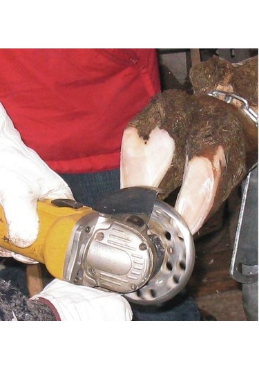 Kerbl Büyükbaş Tırnak Kesme Diski. 3 Bıçaklı