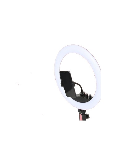 Deyatech 14" 24 W Pro Ring Light + 2 M Stand