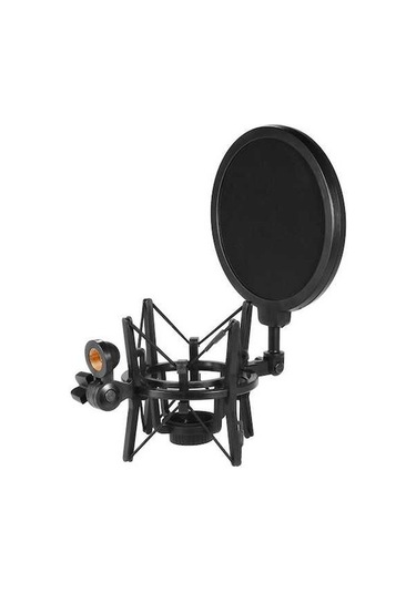 Artfulabode Ve Tutucu Stüdyo Şok Pop Plastik Mikrofon Kayıt İçin Geeroyoo Filtre 15cm - Dn
