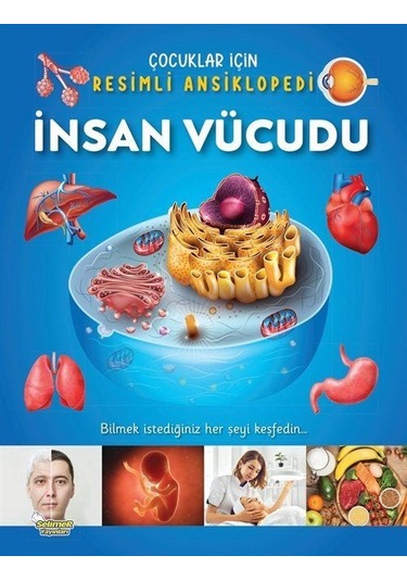 İnsan Vücudu / Çocuklar İçin Resimli Ansiklopedi / Kolektif