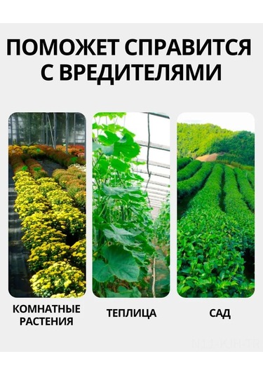 Jeehugo 10 Adet Kelebek Şekilli Sarı Bitki Haşere Tuzağı - Çift Taraflı Yapışkan, Gnat, Aphid, Örümcek Akarı Kontrolü, Ev Ve Bahçe İçin Eko-friendly
