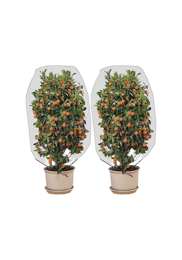 Sones Bağcıklı Bitki Böcek Örtüsü Ağı Sera Meyve Ağacı Kuş Örtüsü, Boyut: 1.2x1.4m Beyaz