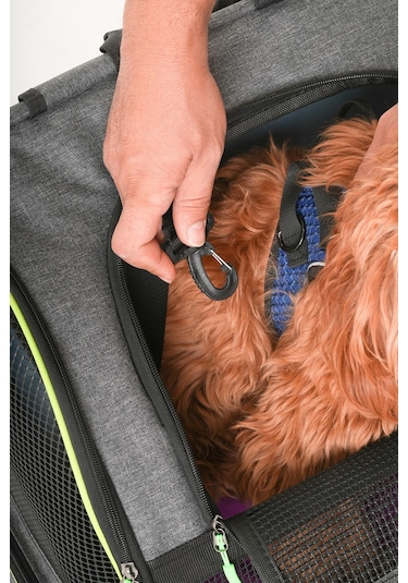 Brave Paws Kedi Ve Köpekler Için Piramit Xl Taşıma Çantası - Geniş Alan Havalandırmalı Seyahat Çantası