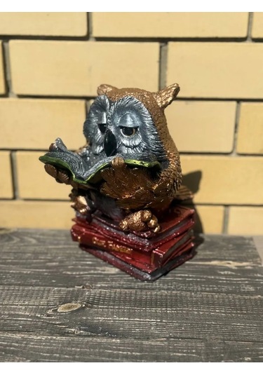 Solomon Home Akıllı Baykuş, Büyük Kumbara 438821447