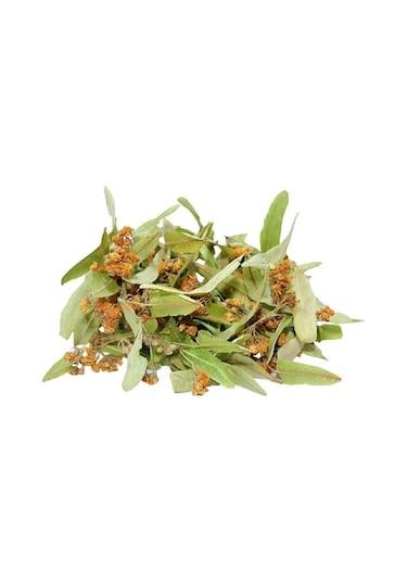 Ihlamur Yaprak Çiçek 50 Gr Ihlamur, Derya Eren