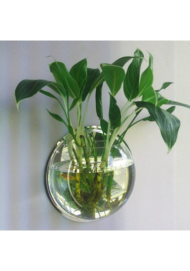 Hombey Duvar Takılı Akvaryum, Akrilik Materyal, 15 Cm Çap, Kolay Kurulum, Ev/ofis Dekorasyonu, Type 1 Ayna