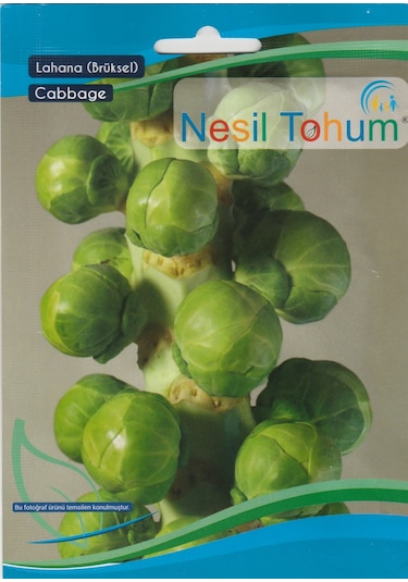 Nesil Brüksel Lahana 200 Adet