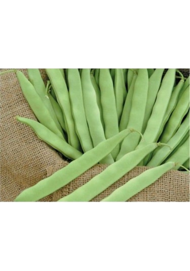 Kılçıksız Yediveren Fasulye Tohumu Fasulye Tohumu 15 Tohum+